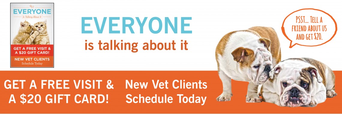 New Client Promotion